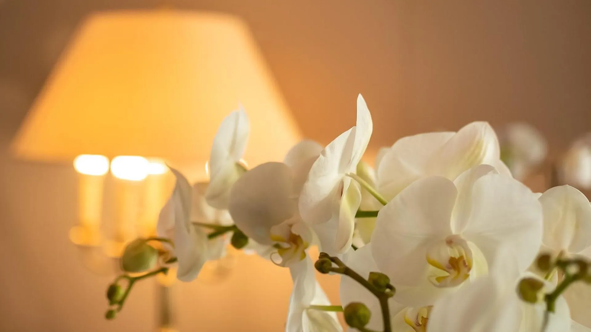 Hotel Haus Arenberg Salzburg Østrig