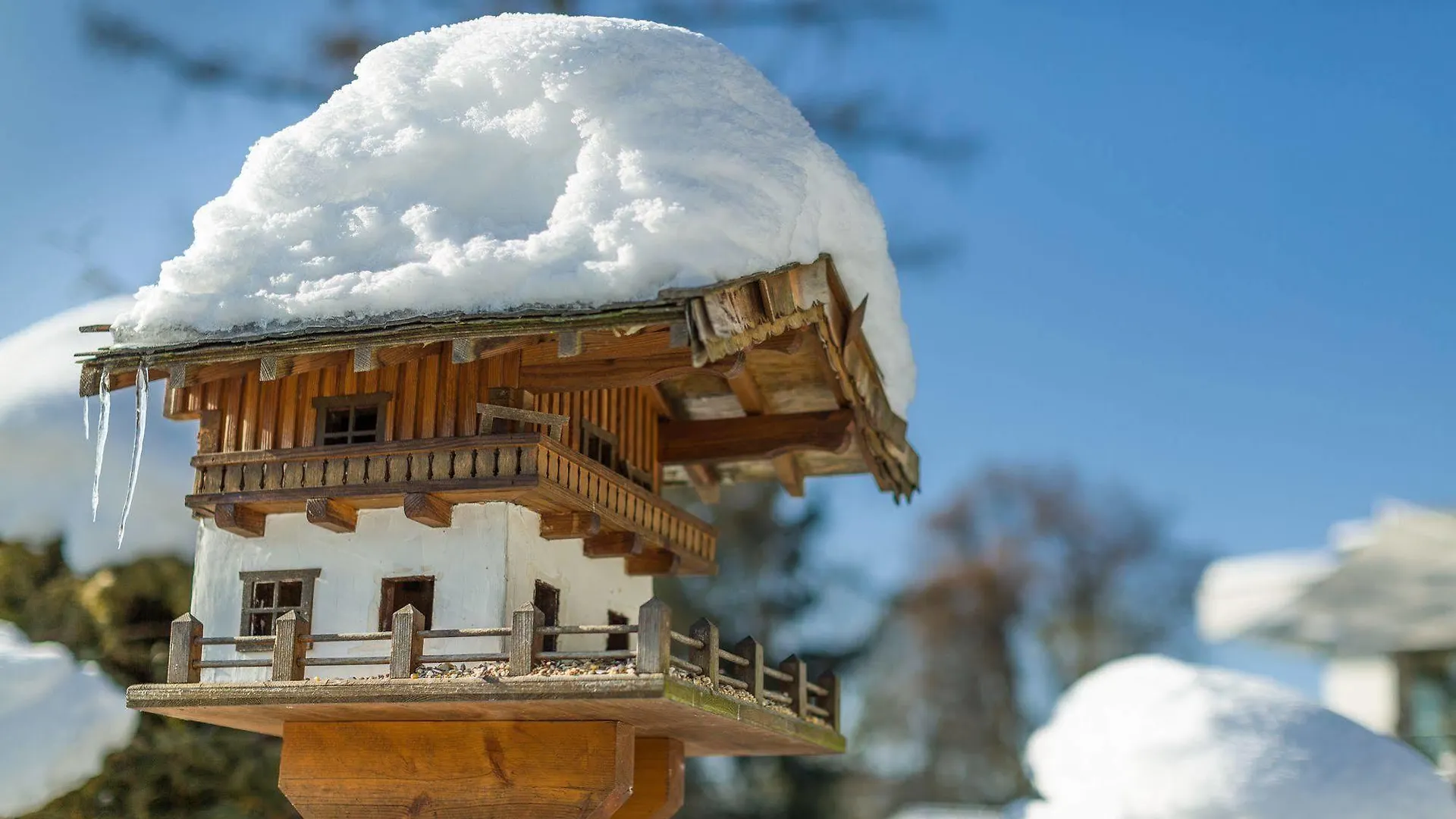 ****  Hotel Haus Arenberg Salzburg Österrike